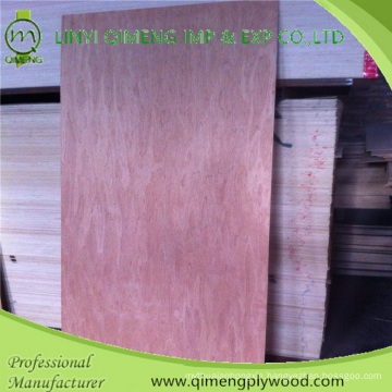 Professional Bintangor Door Skin Plywood Manufacturer From Linyi